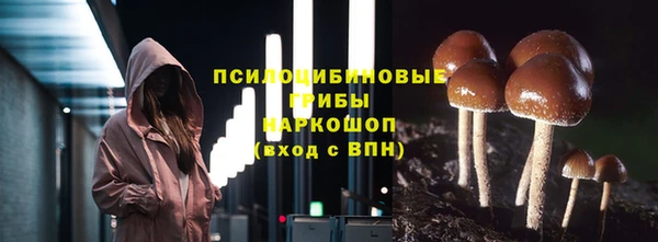 гидра Абдулино