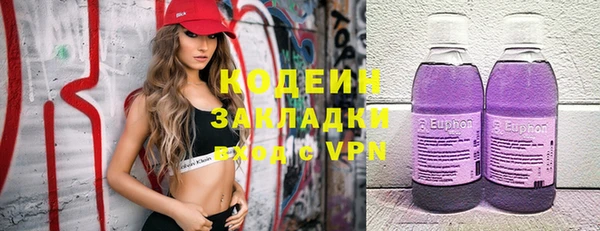 стафф Гусев