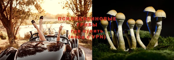 гидра Абдулино