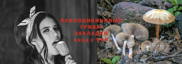 крисы Гусиноозёрск