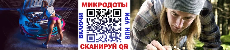закладка  Отрадный  Галлюциногенные грибы Cubensis 