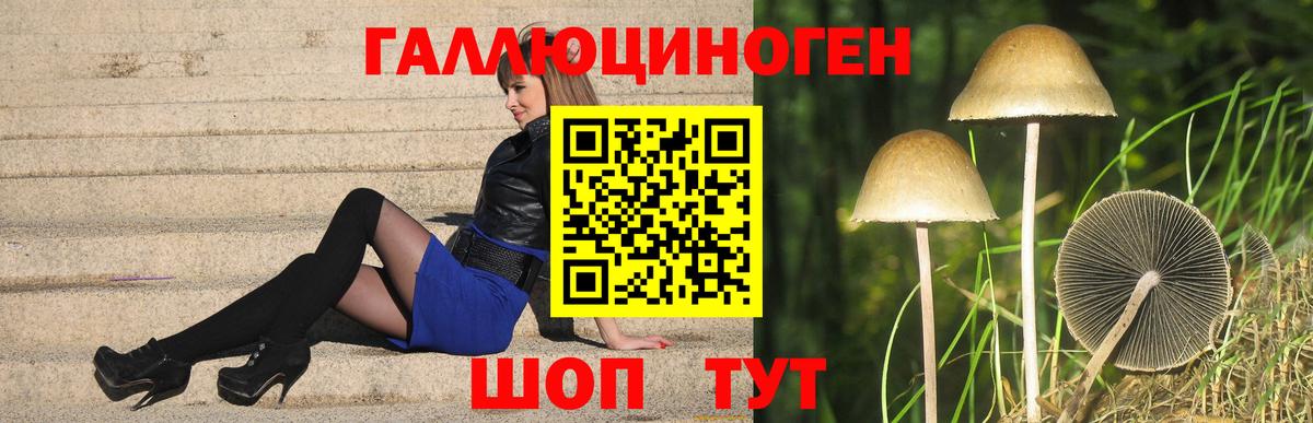 Отрадный  Псилоцибиновые грибы Psilocybe  где купить наркоту  Вход с VPN 
