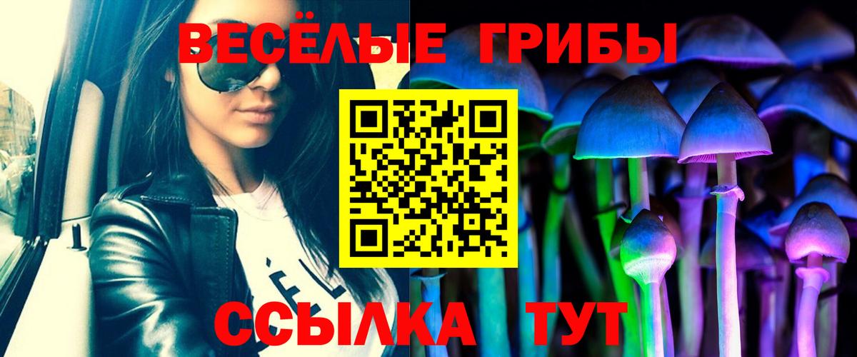 Псилоцибиновые грибы мицелий Отрадный
